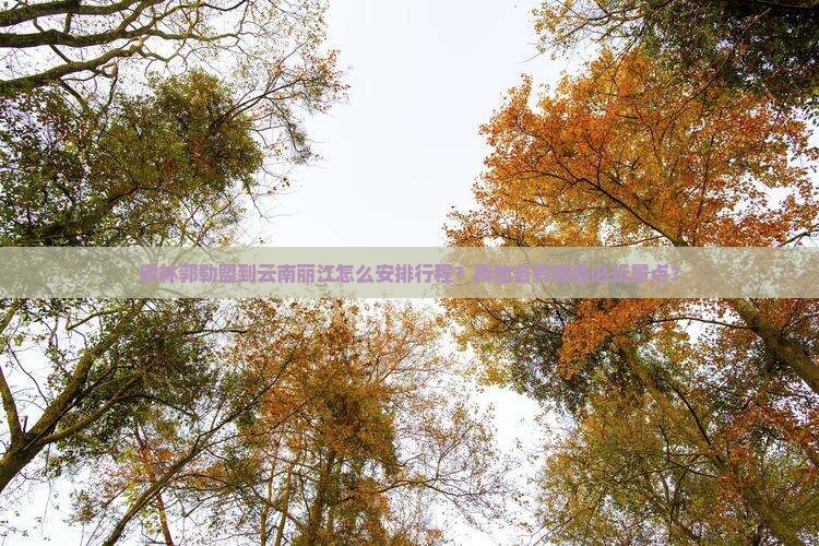 锡林郭勒盟到云南丽江怎么安排行程？两地各有哪些必玩景点？