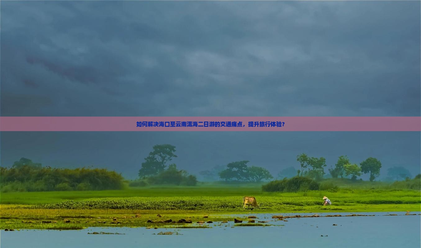 如何解决海口至云南洱海二日游的交通痛点，提升旅行体验？