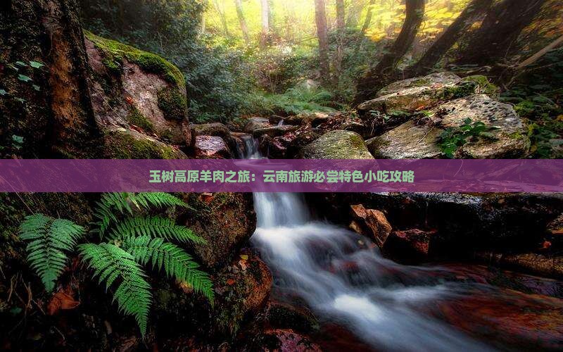 玉树高原羊肉之旅：云南旅游必尝特色小吃攻略