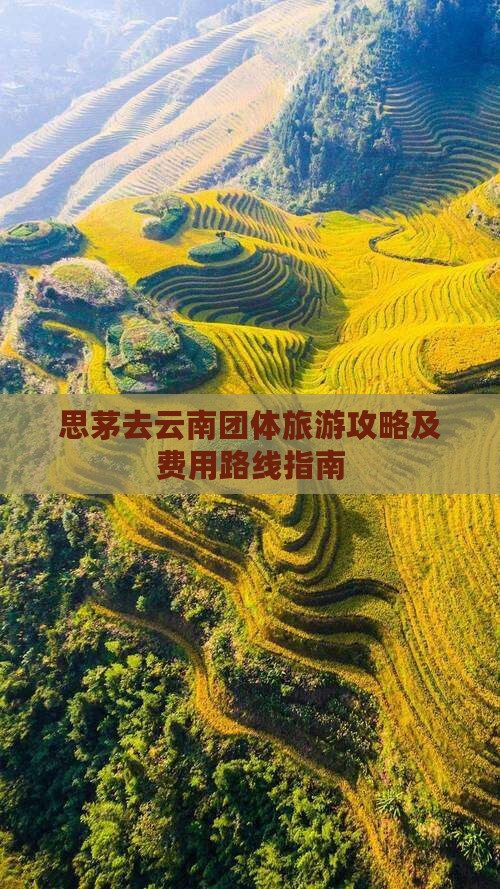 思茅去云南团体旅游攻略及费用路线指南