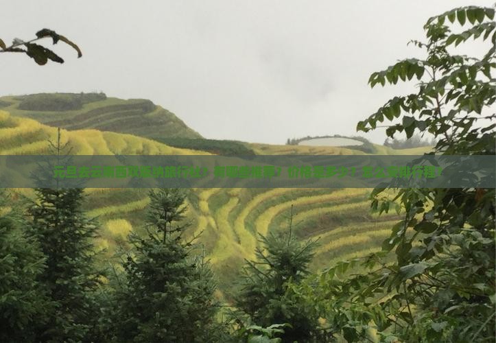 元旦去云南西双版纳旅行社？有哪些推荐？价格是多少？怎么安排行程？