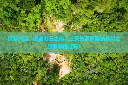 探秘大同，邂逅彩云之南，三天的西双版纳梦幻之旅你敢错过吗？