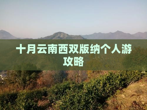 十月云南西双版纳个人游攻略