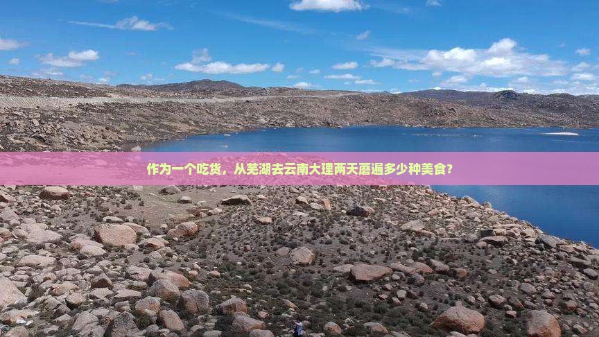 作为一个吃货，从芜湖去云南大理两天蘑遍多少种美食？