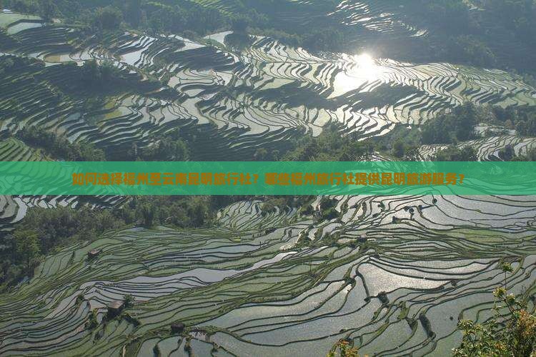 如何选择福州至云南昆明旅行社？哪些福州旅行社提供昆明旅游服务？