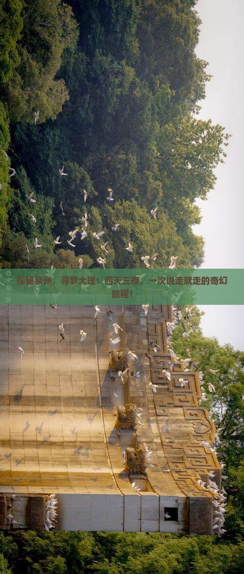 探秘泉州，寻梦大理：四天三夜，一次说走就走的奇幻旅程！
