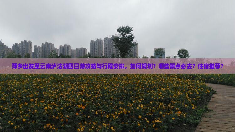 萍乡出发至云南泸沽湖四日游攻略与行程安排，如何规划？哪些景点必去？住宿推荐？
