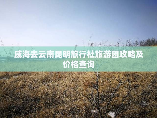 威海去云南昆明旅行社旅游团攻略及价格查询