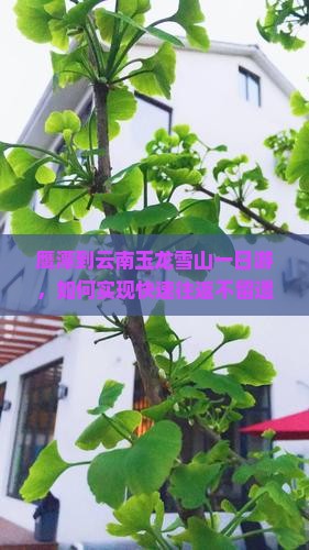 鹰潭到云南玉龙雪山一日游，如何实现快速往返不留遗憾？