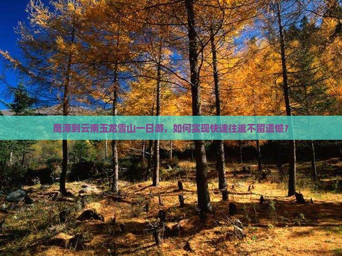 鹰潭到云南玉龙雪山一日游，如何实现快速往返不留遗憾？