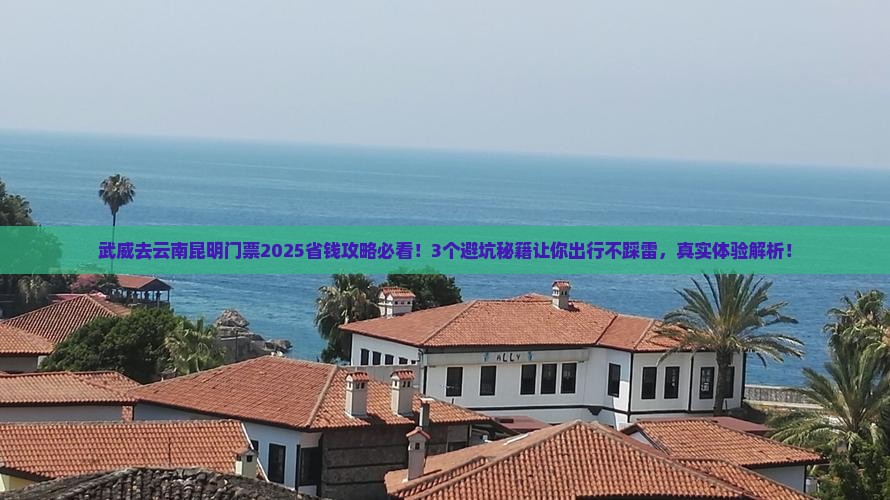 武威去云南昆明门票