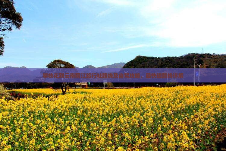 攀枝花到云南丽江旅行社
