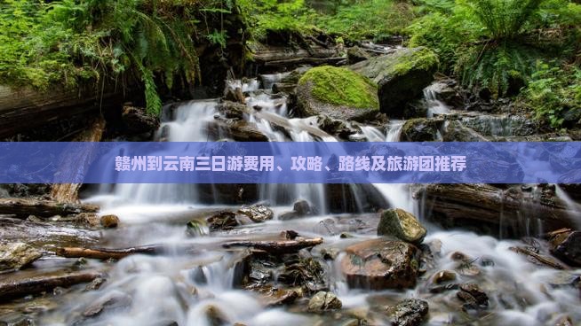 赣州到云南三日游