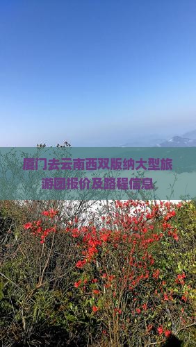 厦门去云南西双版纳大型旅游团