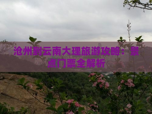 沧州到云南大理门票