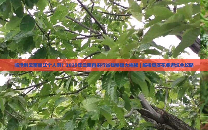 临沧到云南丽江个人游
