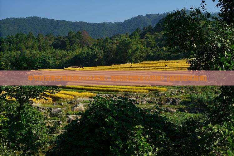 毕节到云南古城旅游 毕节到云南古城旅游