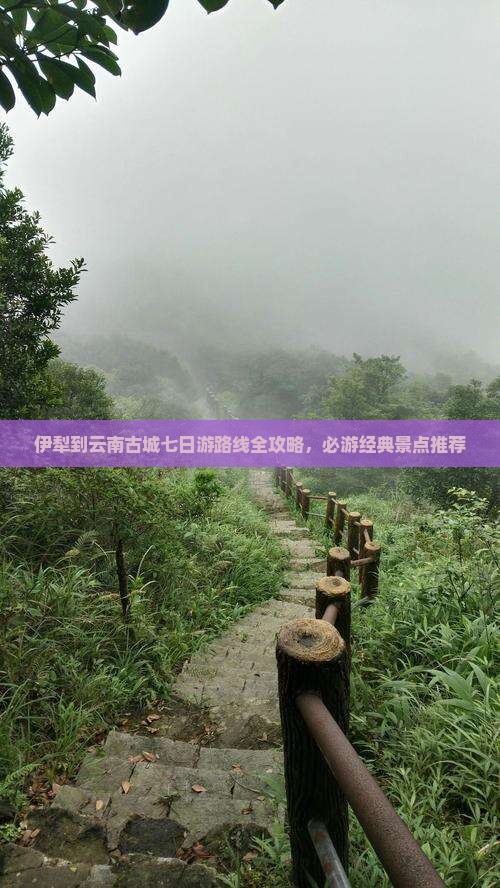 伊犁到云南古城七日游