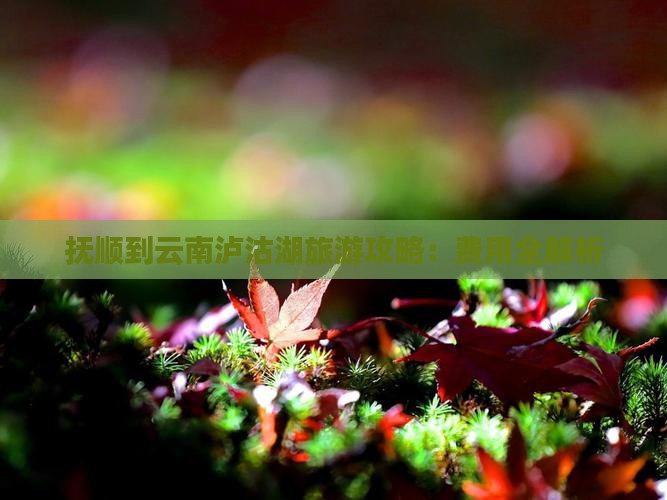 抚顺到云南泸沽湖门票