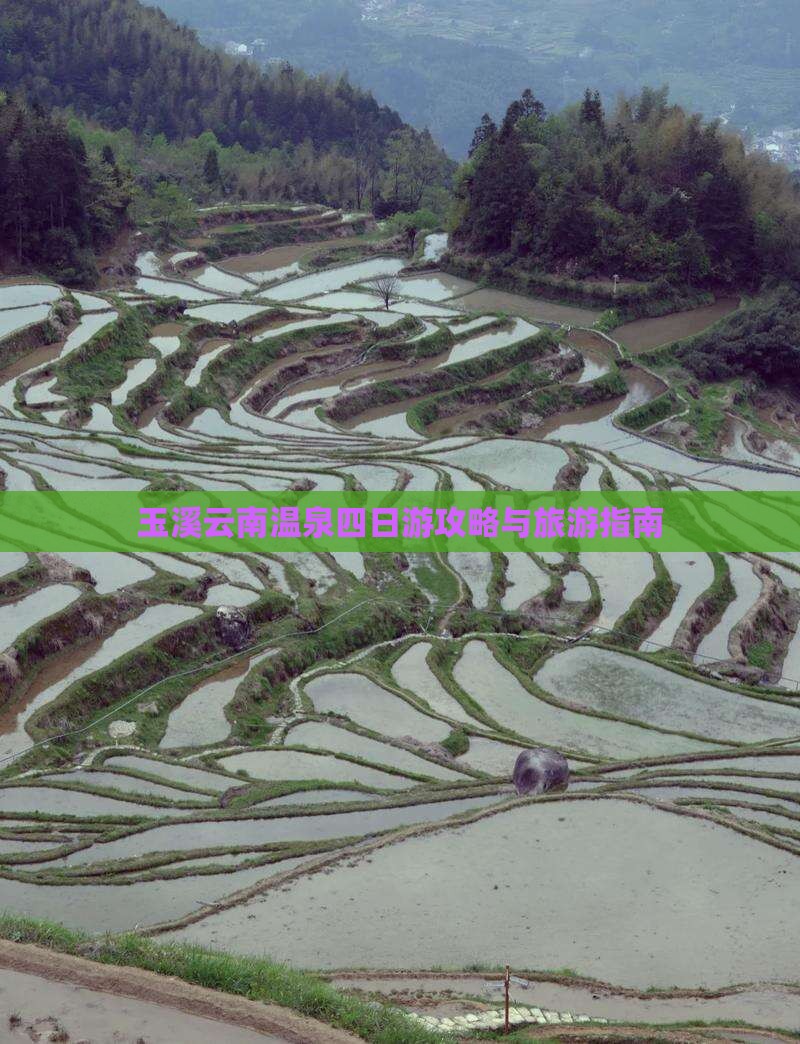 玉溪去云南温泉四日游