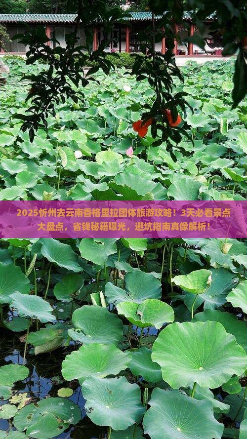 忻州去云南香格里拉团体旅游