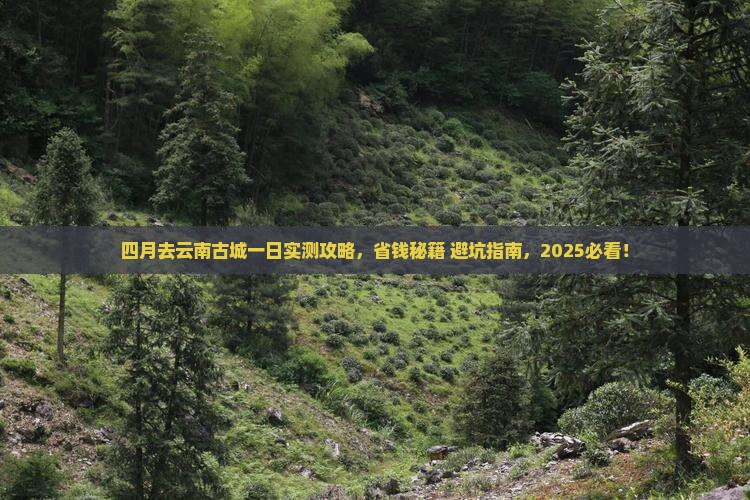 四月去云南古城一日