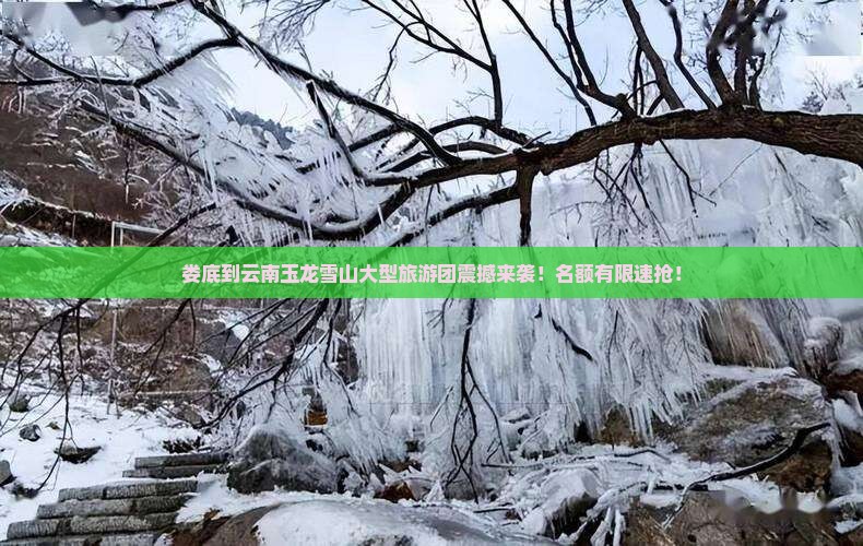 娄底到云南玉龙雪山大型旅游团