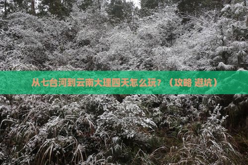 七台河到云南大理四日游