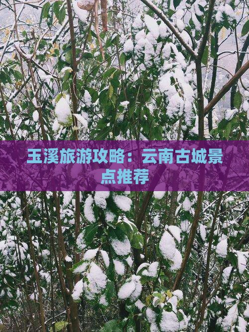 玉溪去云南古城哪里玩