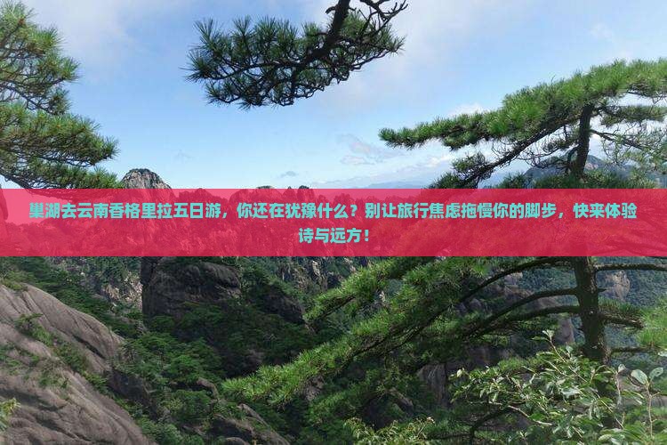 巢湖去云南香格里拉五日游