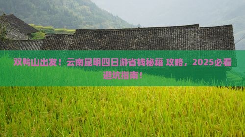 双鸭山到云南昆明四日游