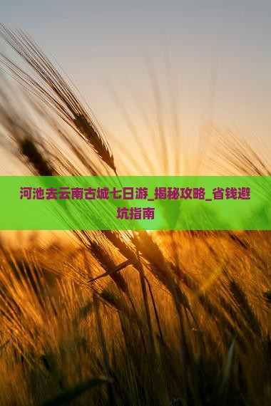 河池去云南古城七日游