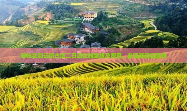 攀枝花到云南古城二日游