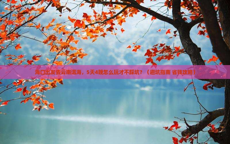 海口去云南洱海大型旅游团