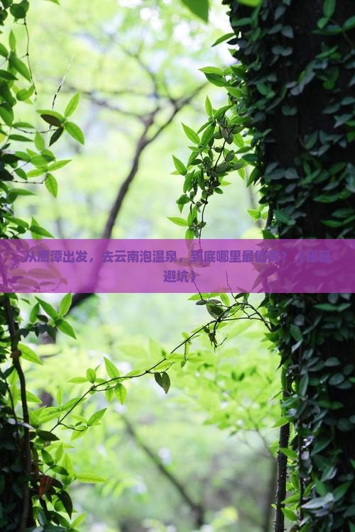 鹰潭到云南温泉景点