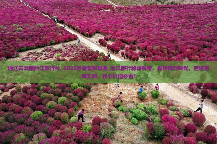 通辽去云南丽江旅行社