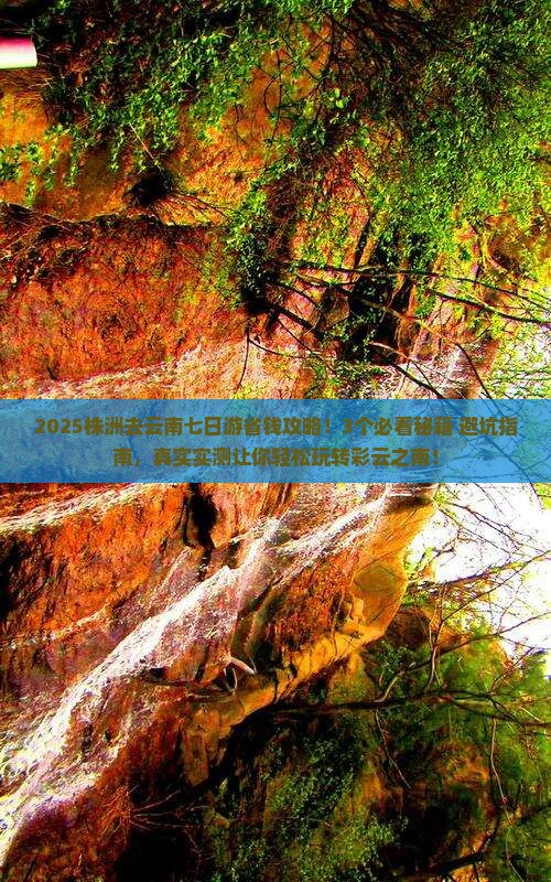 株洲去云南七日游