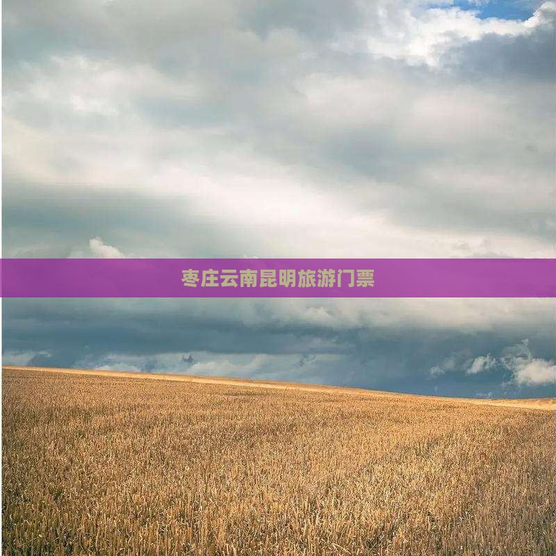 枣庄去云南昆明门票