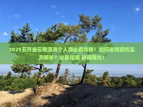 五月去云南洱海个人游