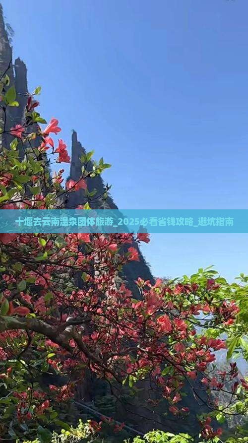 十堰去云南温泉团体旅游