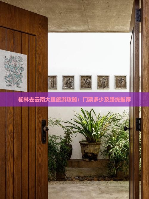 榆林去云南大理门票