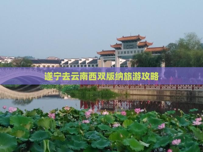 遂宁去云南西双版纳旅游
