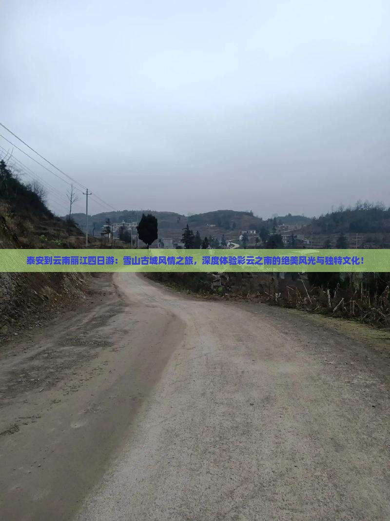 泰安到云南丽江四日游