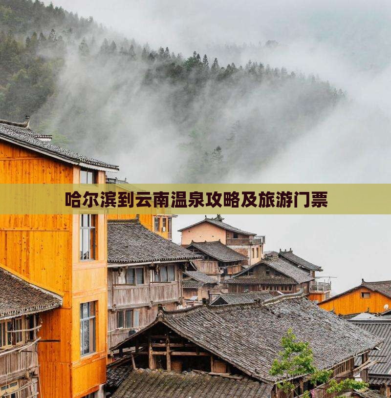 哈尔滨到云南温泉门票