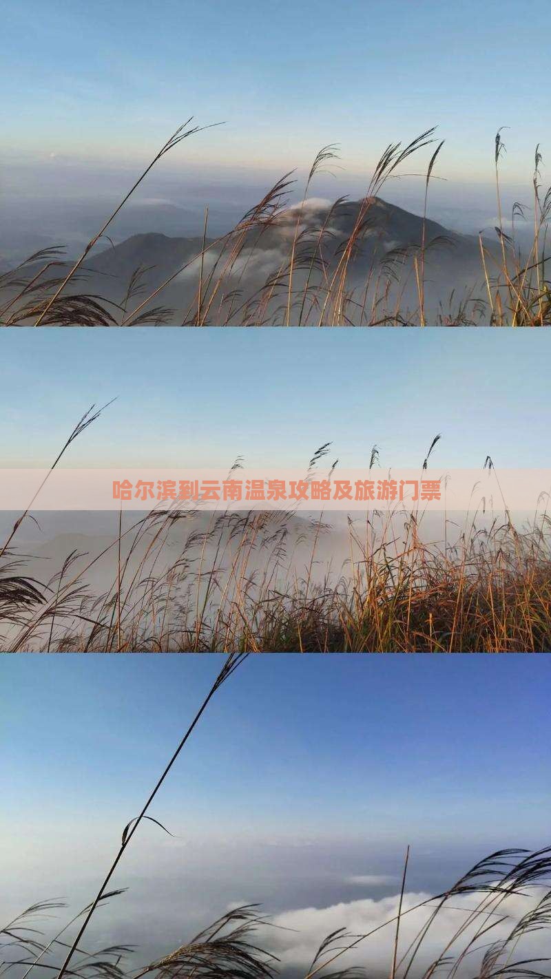 哈尔滨到云南温泉门票