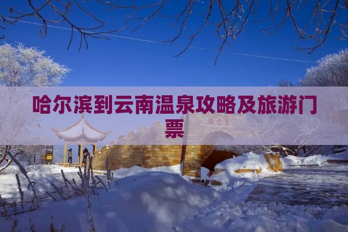 哈尔滨到云南温泉门票