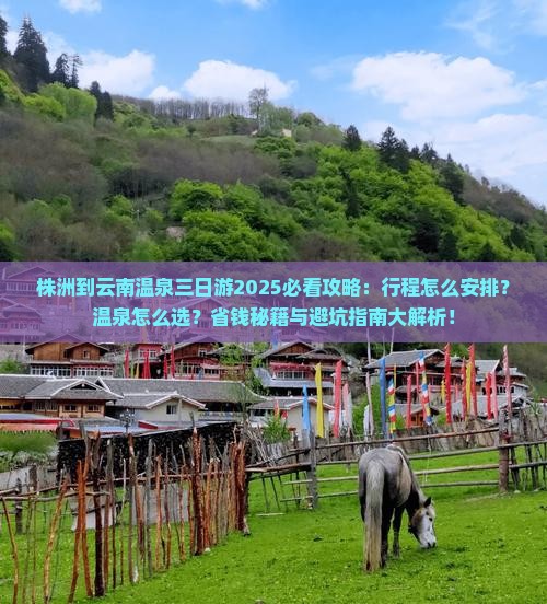 株洲到云南温泉三日游