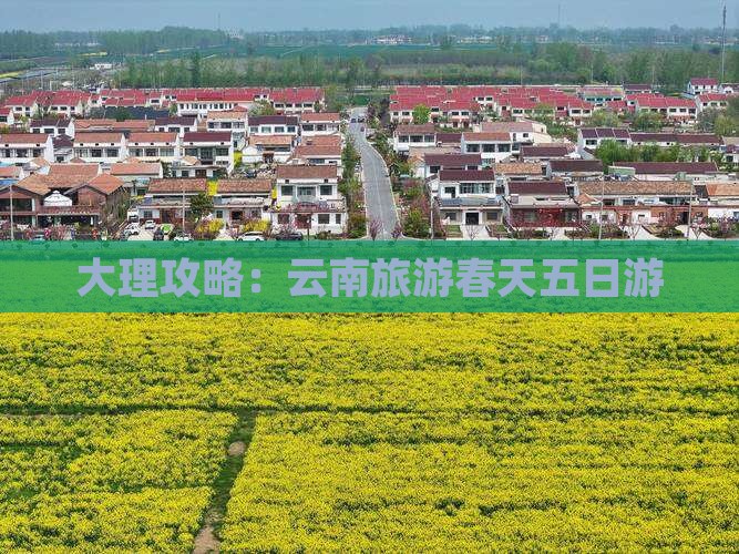 春天到云南大理五日游