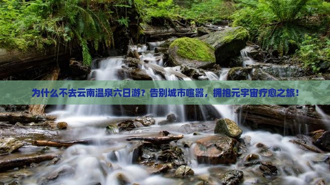 三月到云南温泉六日游
