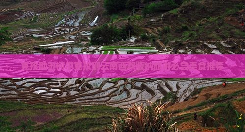 克孜勒苏柯尔克孜到云南西双版纳旅游小吃